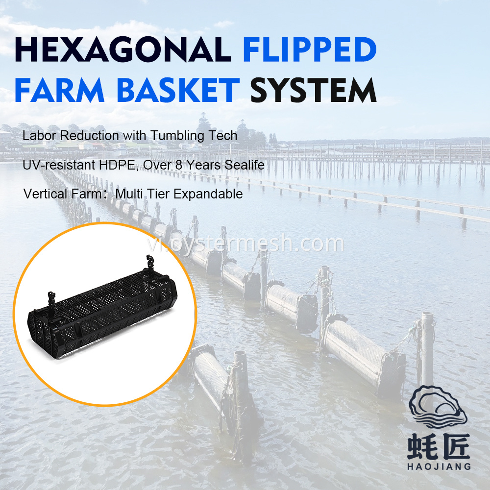 Hexagonal Oyster Cage Basket